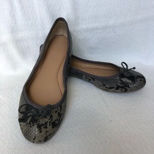 Banana Republic Ashley bow ballet flat